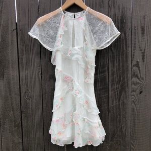 Steve May light wild rose print dress size small